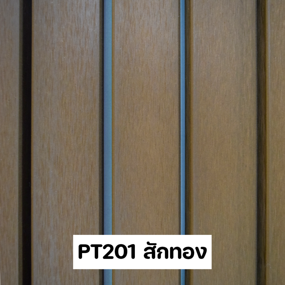 PT201 สักทอง